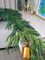 6FTx1 Christmas Real Touch Norfolk Pine Garland Artificial Faux Greenery Garlands Christmas Norfolk Pine Garland for Christmas Holiday Seasonal Indoor Mantle Decor, LFK-TD101